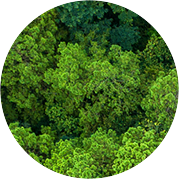 玫德集團(tuán) 智造60?年 暢銷140?國(guó)